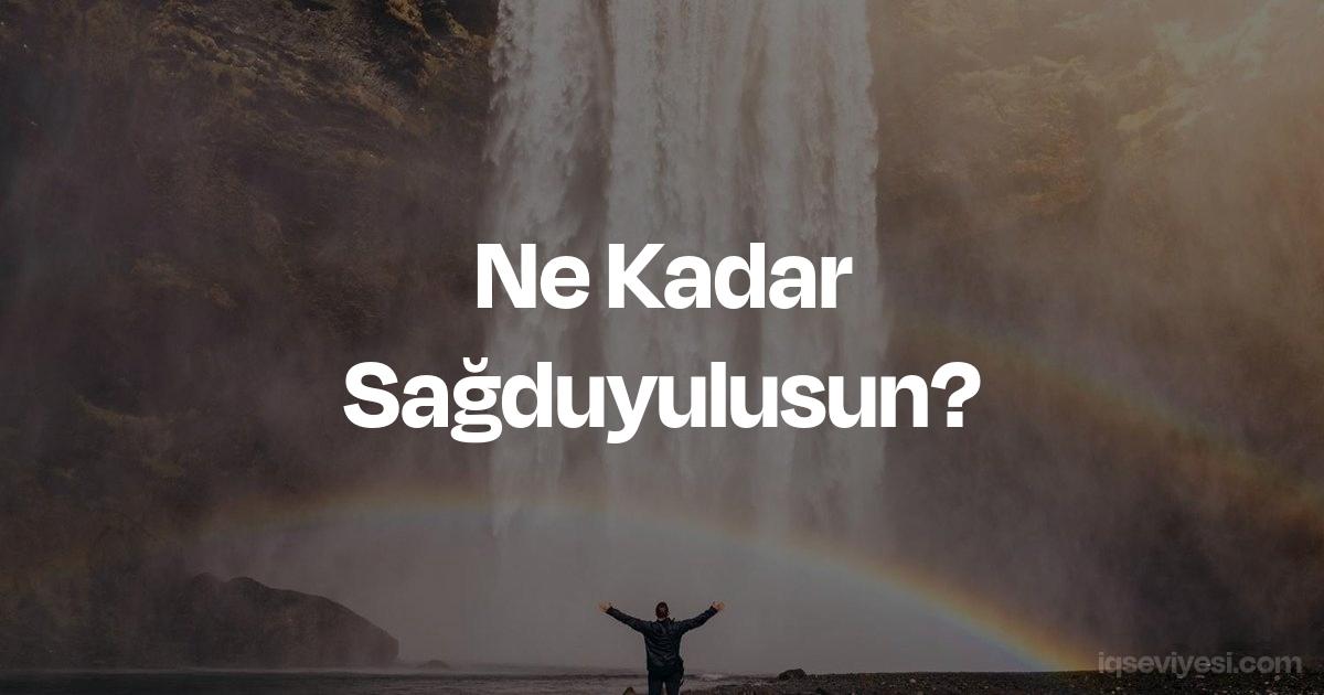 ne kadar sağduyulusun? karakter testi