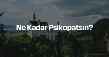 Ne Kadar Psikopatsın? testi