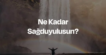 Ne Kadar Sağduyulusun? testi