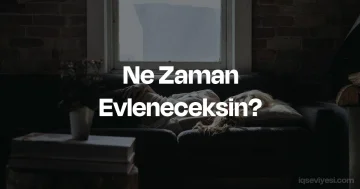 Ne Zaman Evleneceksin? testi